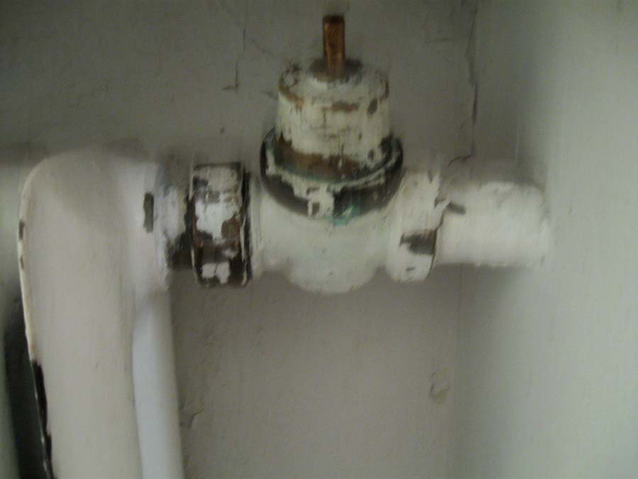 IMG 7381